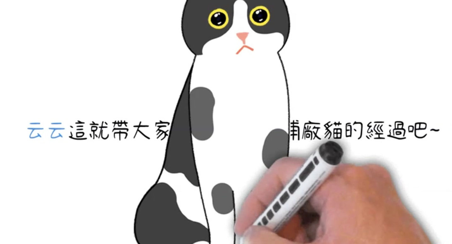 誘捕籠/捕貓籠/捕狗籠 規格+操作方式+實拍